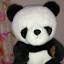 tokyodaxiongmao.com