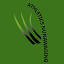 athleticsnunawading.asn.au