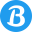 bluebirdtechnologies.com