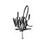 mikeshinoda.com