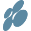 nexusapproach.com