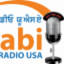 punjabiradiousa.com
