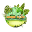 rimbahoki.com