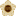 sncouncil.go.kr