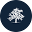 whiteoakuk.com