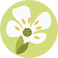 arabidopsis.org