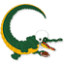 cologne-crocodiles.de
