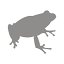 frogworks.co.jp