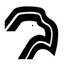hawkusa.com