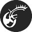 nordvis.com