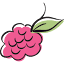 pickleberrypop.com