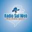 radiosulweb.com