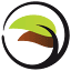 transitionscounselingandconsult.com