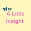 a-little-insight.com