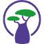 baobab-bach.org