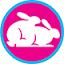 bunnyranch.com