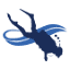 divex.hu