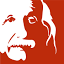 einstein-bern.ch