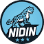 nidin.ru