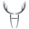platzhirsch-fulda.de