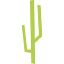 rebelcactus.com
