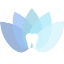 reginadental.com