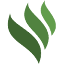 satthwa.com