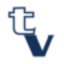 texvisions.com