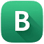 bibmath.net