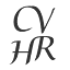 compvirtualhr.com