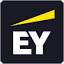eyfinancialservicesthoughtgallery.ie