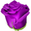 flowercube.ru