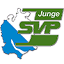jsvp-zh.ch