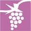 shopperswines.com