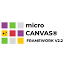 themicrocanvas.com