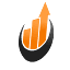 vicolize.com