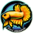 vijayaquarium.com