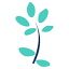 adeeva.com