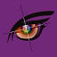 eagleeyesigns.net