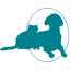 evergreenvetclinic.com