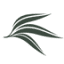 everythingaustralian.com.au