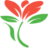 flowers4cuba.com