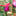 flowersclub.info