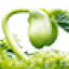 livingseed.org