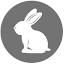 myrabbit.co.il