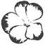 pelargonientraeume.de