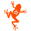 shortscostarica.com