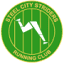 steelcitystriders.co.uk
