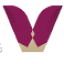 varancip.com