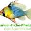 aquarium-fische-pflanzen.de